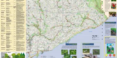 Kaart parkide ja jalutusrajad Ida-Toronto