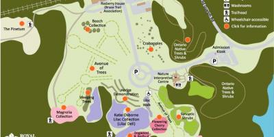 Kaart RBG Arboretum